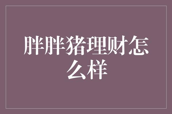 胖胖猪理财怎么样