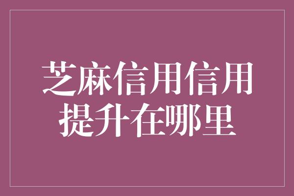 芝麻信用信用提升在哪里