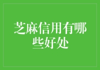 芝麻信用：你的生活从此井井有条，因为芝麻信用，我变回了好孩子