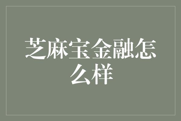 芝麻宝金融怎么样