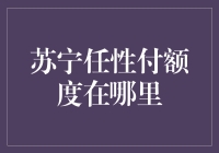 苏宁任性付额度在哪里？搞懂这些你就知道它藏在哪个角落啦！