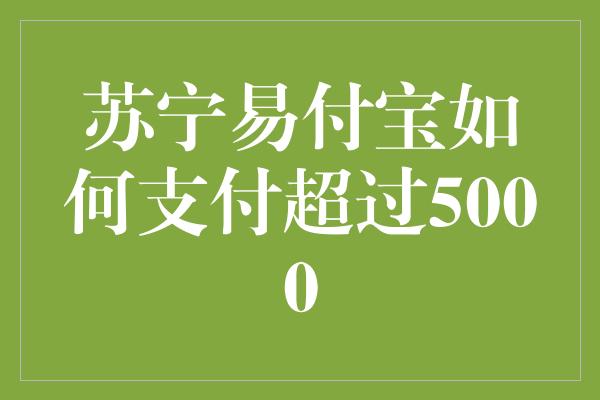 苏宁易付宝如何支付超过5000