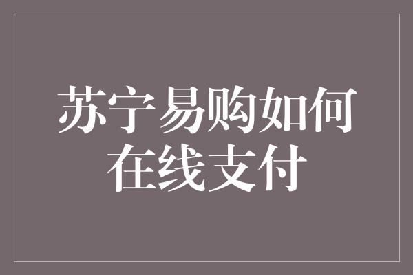 苏宁易购如何在线支付