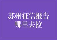 苏州征信报告查询指南：轻松获取个人信用记录