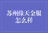 苏州缘天金服：业务范围及投资模式深度解析