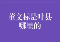 董文标：从叶县走出的金融巨擘