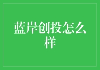 蓝岸创投：深度解读其在数字经济领域的投资策略与企业扶持