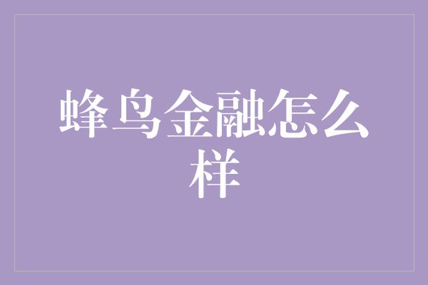 蜂鸟金融怎么样