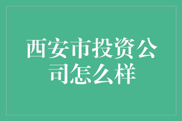 西安市投资公司怎么样