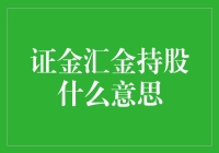 证金汇金持股是什么意思？新手也能看懂的揭秘！