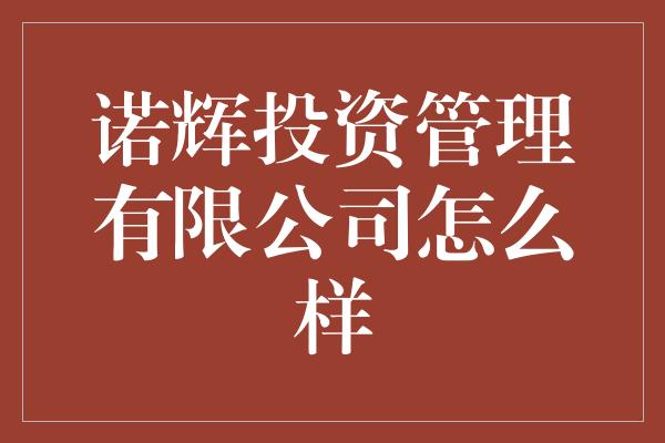 诺辉投资管理有限公司怎么样