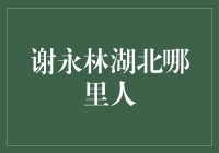 谢永林：荆楚大地孕育的金融领军人物