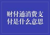 什么是财付通消费支付？