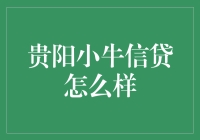 贵阳小牛信贷：互联网金融的创新实践者