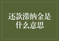 还款滞纳金：一种金融警示机制的剖析