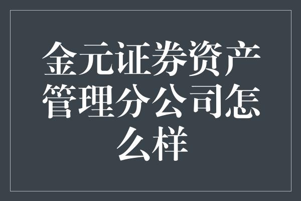 金元证券资产管理分公司怎么样