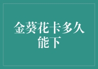 金葵花卡多久能下？我来告诉你，比你想象中还要快来得快！