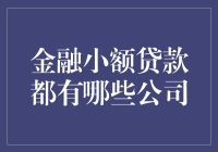 金融小额贷款市场概览与主流公司解析