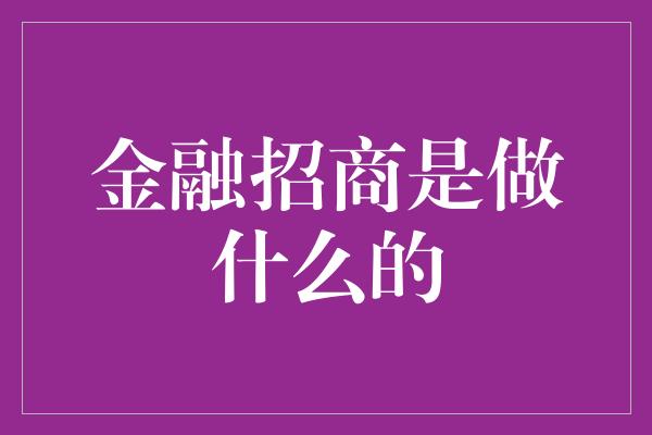 金融招商是做什么的