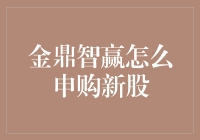 金鼎智赢：新股申购策略解析与实操指南