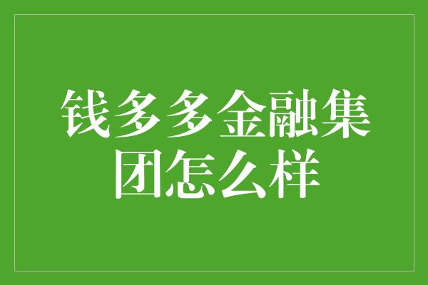 钱多多金融集团怎么样