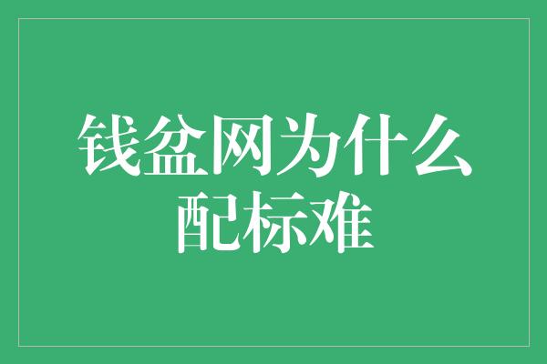 钱盆网为什么配标难