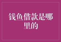 钱鱼借款究竟来自何方？