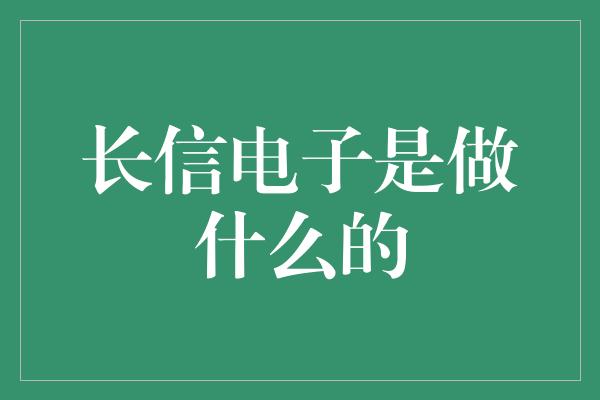 长信电子是做什么的