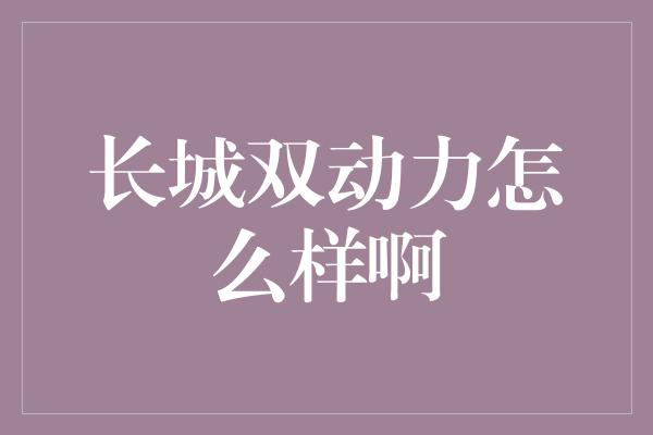 长城双动力怎么样啊