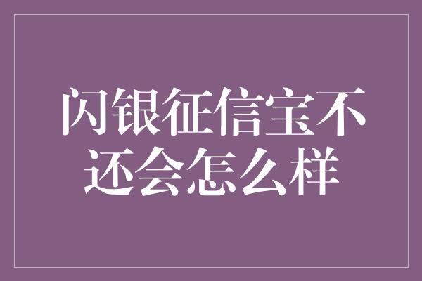 闪银征信宝不还会怎么样