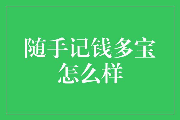 随手记钱多宝怎么样