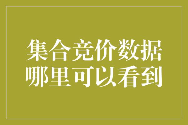 集合竞价数据哪里可以看到