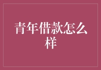 青年人口借款趋势与行为模式：新时代下的探索与应对