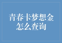 青春卡梦想金查询途径详解