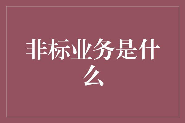 非标业务是什么