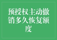 预授权主动撤销后多久恢复额度：银行卡风险管理实践与探索