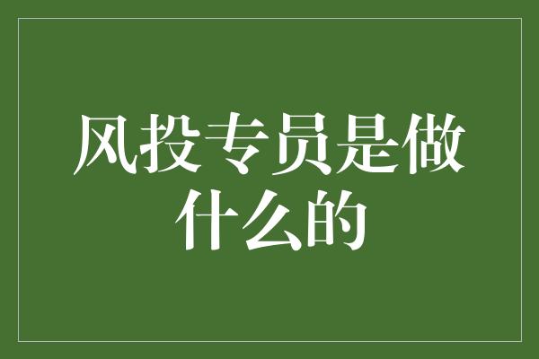 风投专员是做什么的