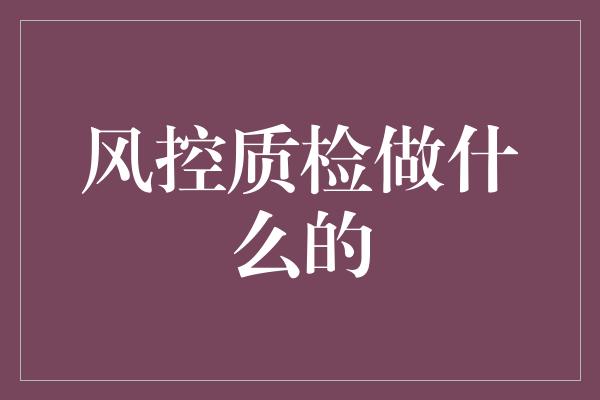 风控质检做什么的