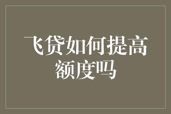 飞贷如何提高额度吗