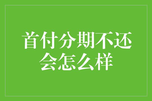 首付分期不还会怎么样