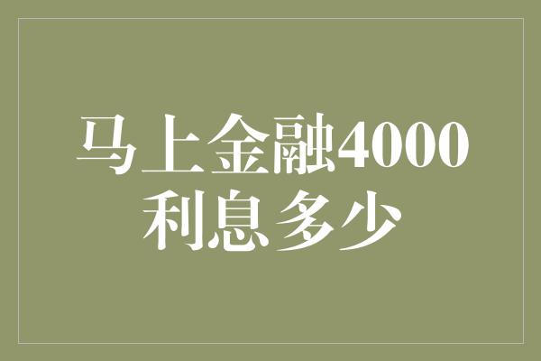 马上金融4000利息多少