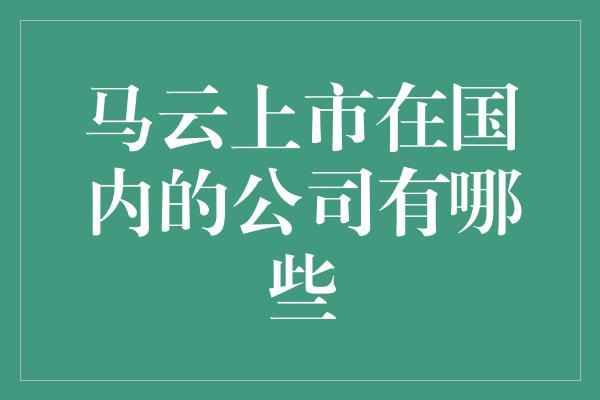 马云上市在国内的公司有哪些