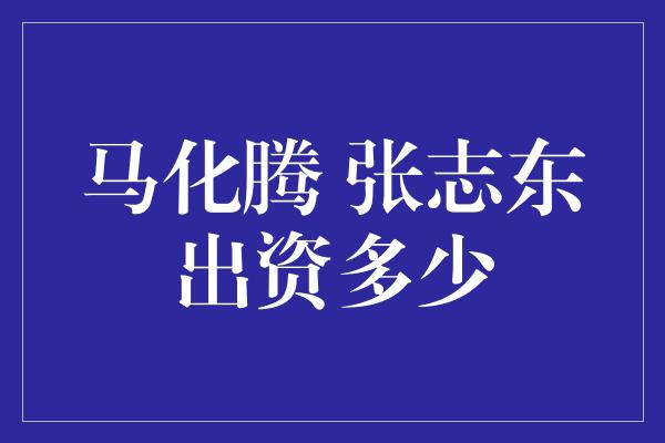 马化腾 张志东出资多少