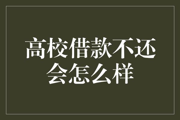 高校借款不还会怎么样