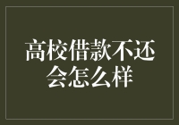 高校借款不还会怎么样：后果与影响深度剖析