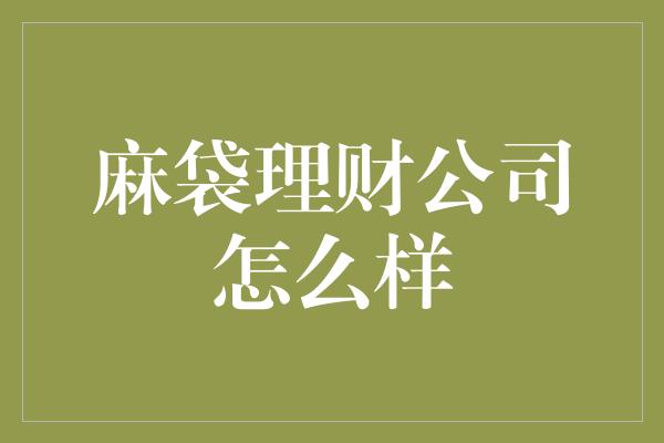 麻袋理财公司怎么样