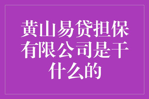 黄山易贷担保有限公司是干什么的