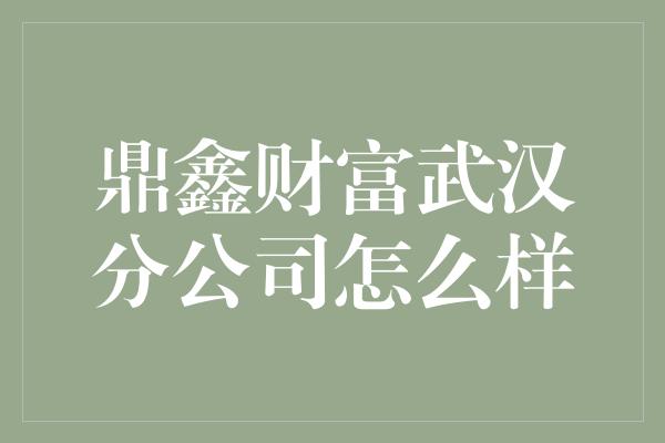 鼎鑫财富武汉分公司怎么样