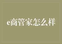 e商管家：赋能电商企业，打造高效管理生态