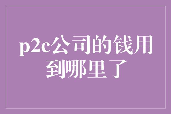 p2c公司的钱用到哪里了